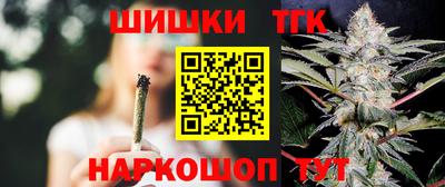 МДПВ Кингисепп