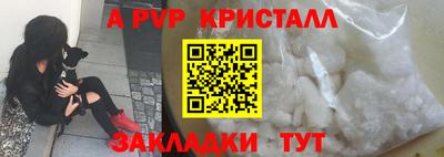 МДПВ Кингисепп