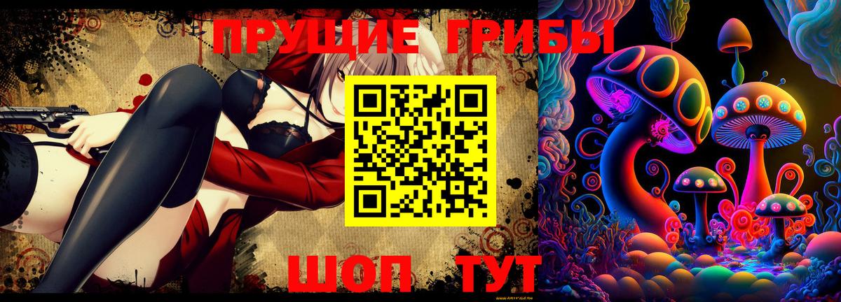 Вязьма  Галлюциногенные грибы Cubensis  Вход с VPN 